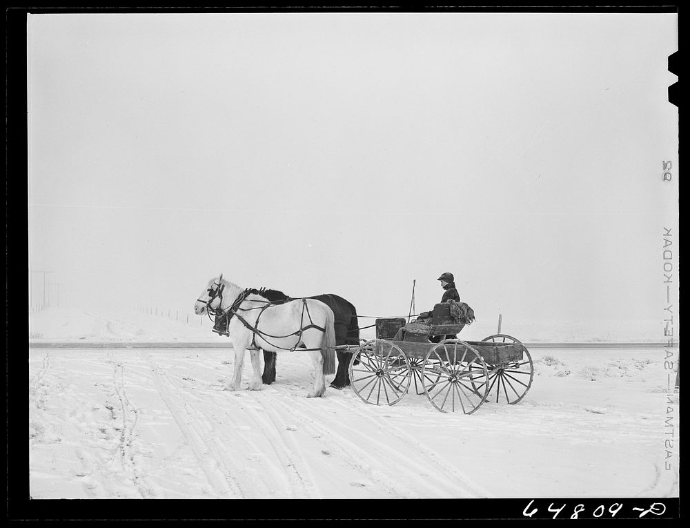 Morton County, North Dakota. Farm boy going after mail. Sourced from the Library of Congress.