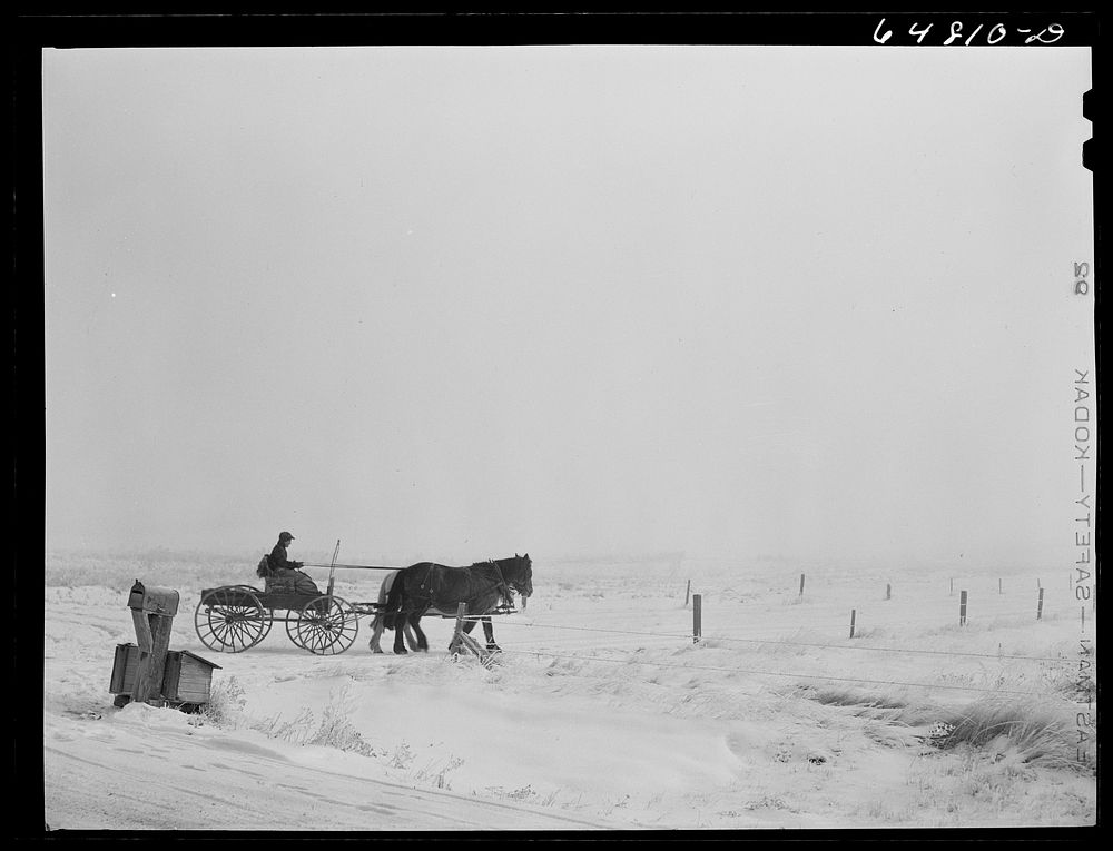 Morton County, North Dakota. Farm boy bring home the morning mail. Sourced from the Library of Congress.