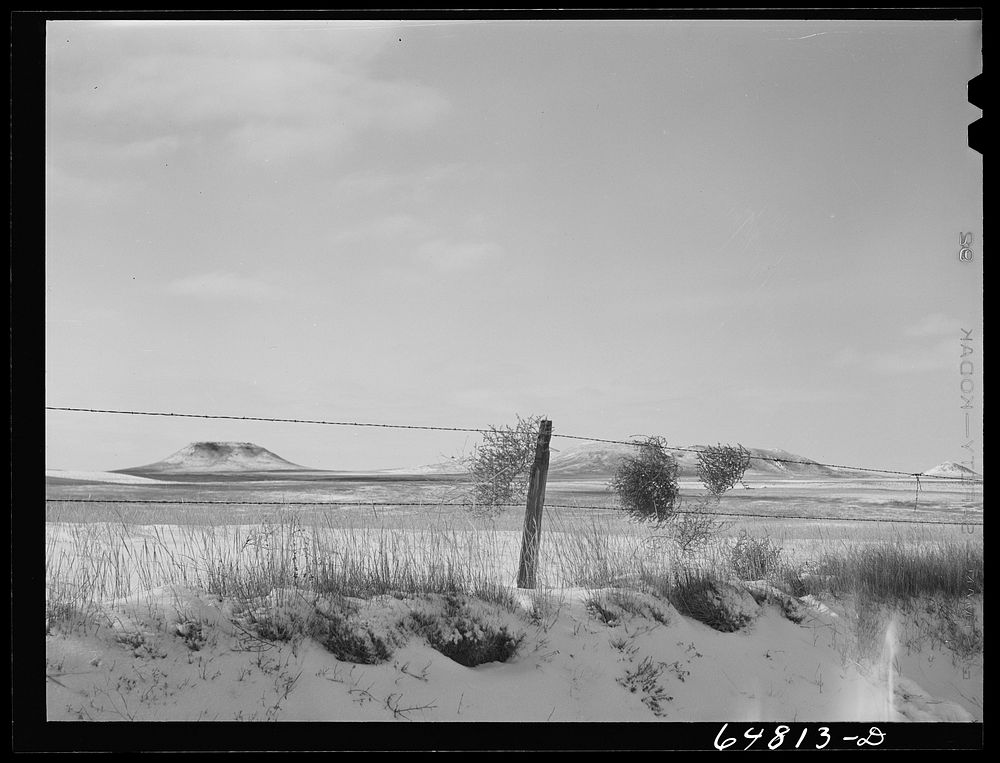 Adams County, North Dakota. Barbed wire, buttes and tumbleweed. Sourced from the Library of Congress.