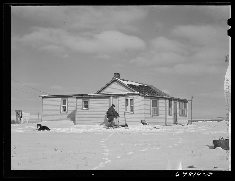 Adams County, North Dakota. Mrs. Lee Johnson bringing in a pair of overalls which had been drying on the line and have been…