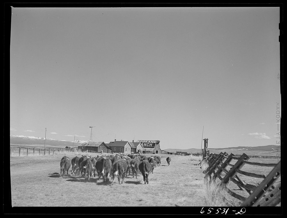 Beaverhead County, Montana. Spokane Ranch in the Big Hole Basin. Sourced from the Library of Congress.