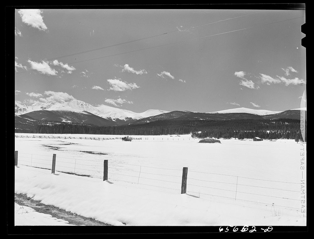 Grand County, Colorado. Winter feedlot. Sourced from the Library of Congress.