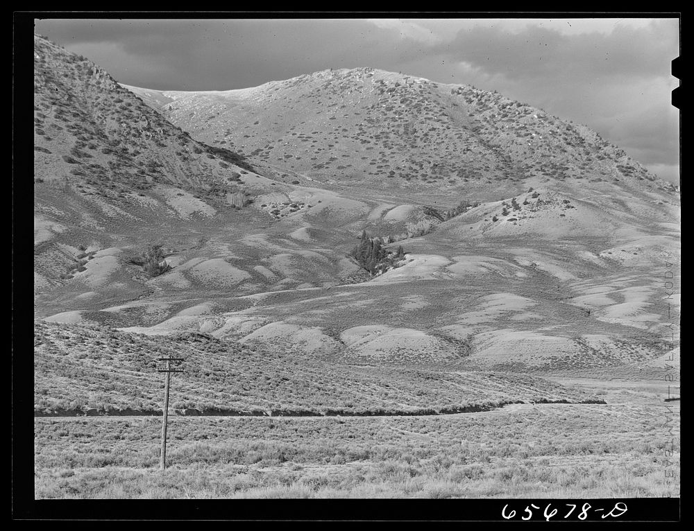 Grand County, Colorado. Sheep grazing land. Sourced from the Library of Congress.