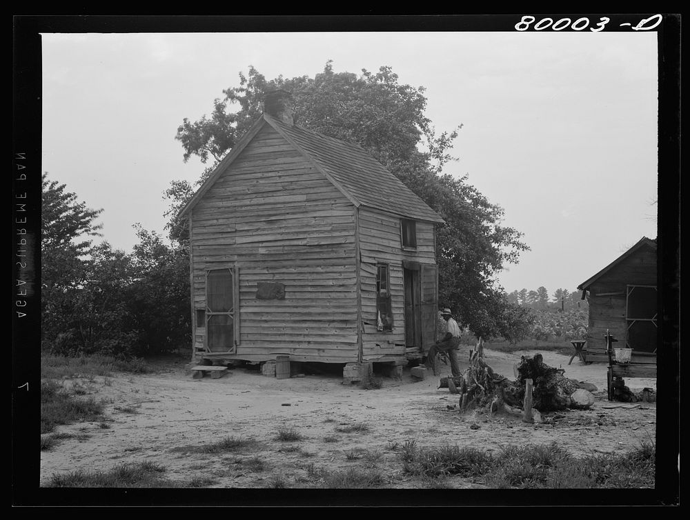 [Untitled photo, possibly related to: Yamacis farm house. Back of house is an orchard, and then fields of tobacco. Ridge…