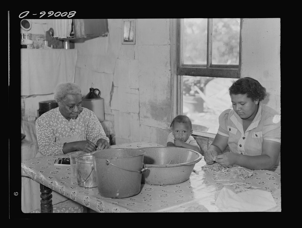 Shelling snap beans in the Biscoe kitchen. John Biscoe farmhouse near Ridge, Maryland. Saint Mary's County. Sourced from the…