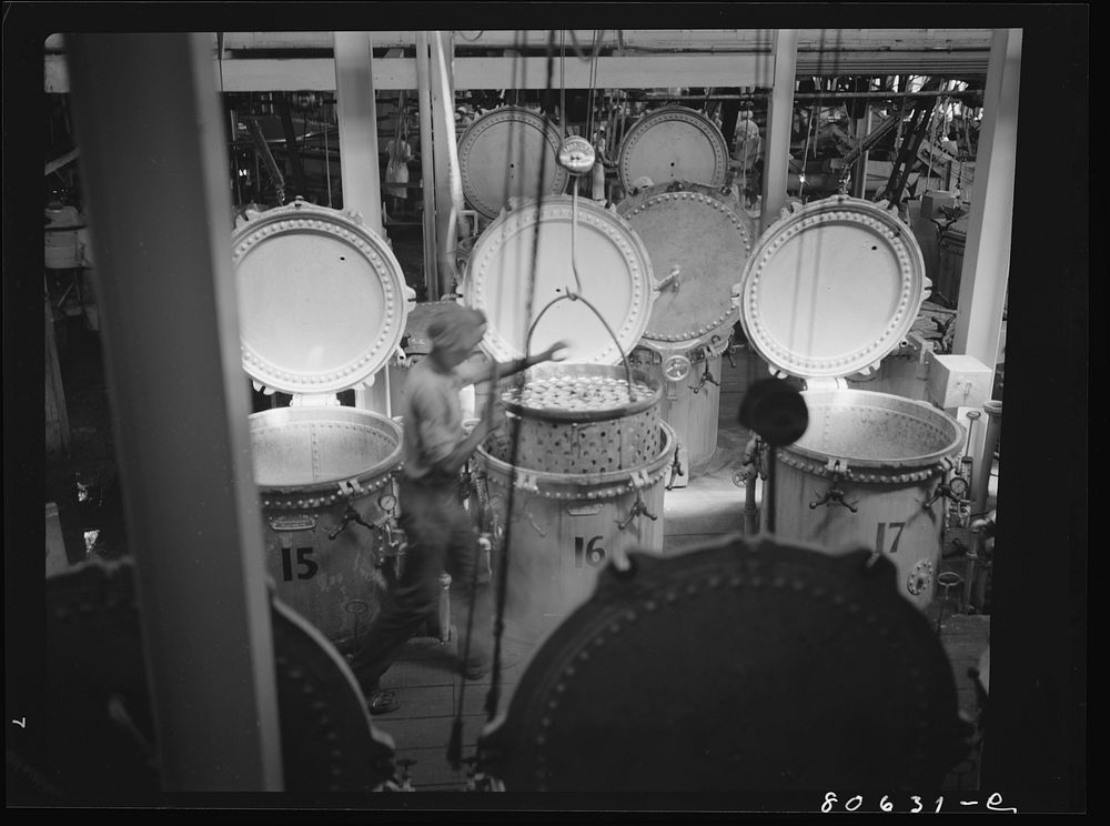 [Untitled photo, possibly related to: Vegetables are cooked after canning in these compressed steam vats. Phillips Cannery…