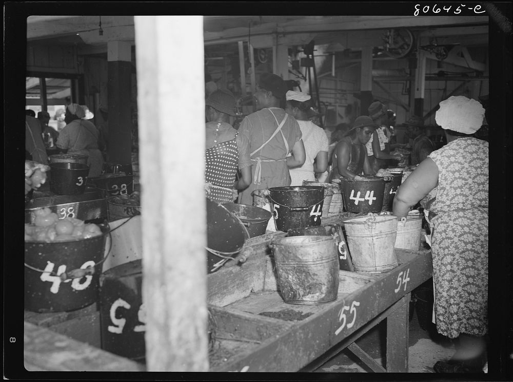 The interior of the Lennord Cannery, taken through one of the many unscreened windows. Cambridge, Maryland. Sourced from the…