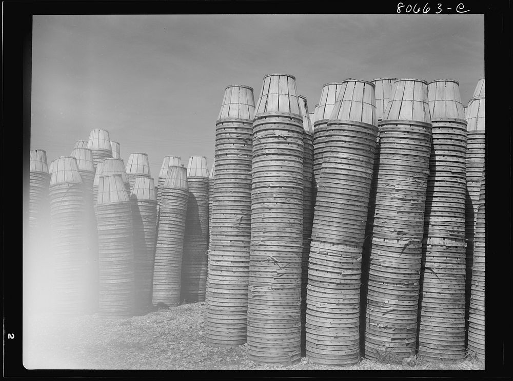 [Untitled photo, possibly related to: Empty baskets are stored in the yard of the plant until returned to grower. Phillips…