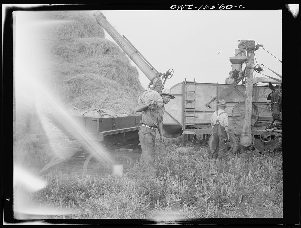 [Untitled photo, possibly related to: Jackson, Michigan. Bagging wheat]. Sourced from the Library of Congress.