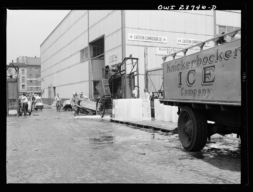 New York, New York. Ice which is used to store fish on boats that bring their catches into Fulton fish market. Sourced from…