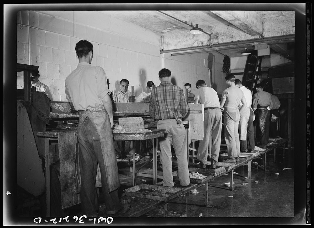 Gloucester, Massachusetts. Men on the filleting line in a fish packing plant. Sourced from the Library of Congress.