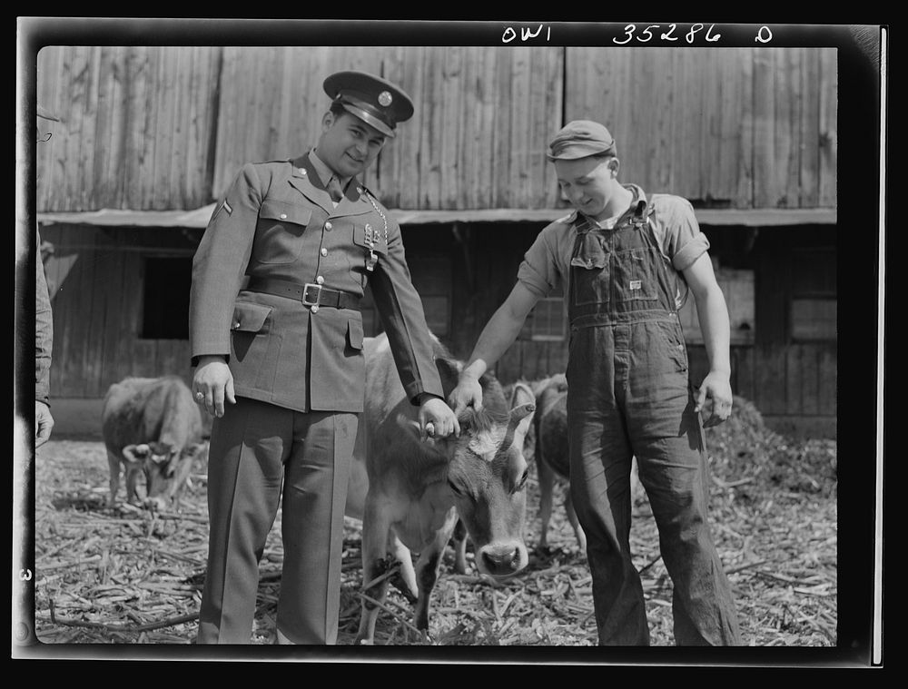 Rockville (vicinity), Maryland. Harvey Horton, visiting the N.C. Stiles dairy farm while on furlough from Fort Belvoir…