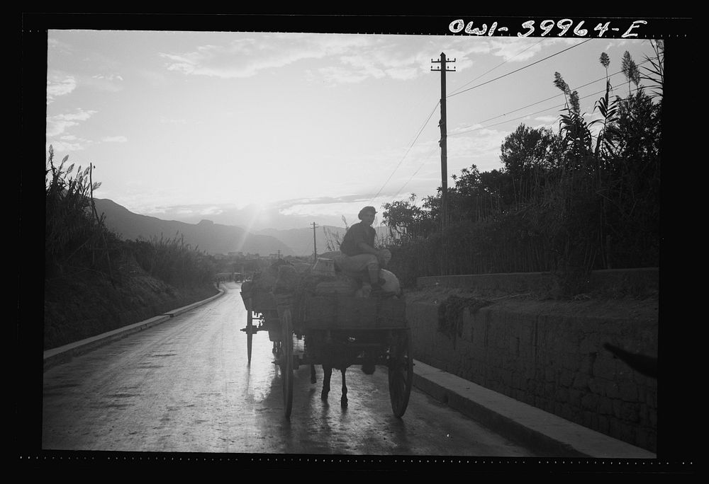 Messina (vicinity), Sicily. People returning to their homes after the Germans left. Sourced from the Library of Congress.