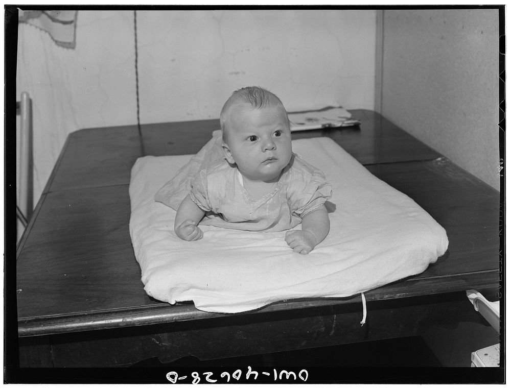 Washington, D.C. Joey, eight weeks old son of Hugh Massman, a student at the Naval Air Station. Sourced from the Library of…