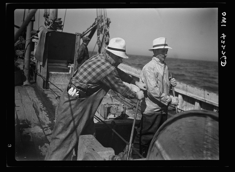 Gloucester, Massachusetts. Two Gloucester fishermen on a fishing boat. Sourced from the Library of Congress.