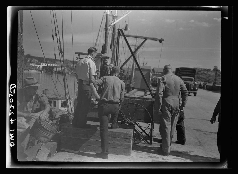 Gloucester, Massachusetts. Unloading fish. Sourced from the Library of Congress.
