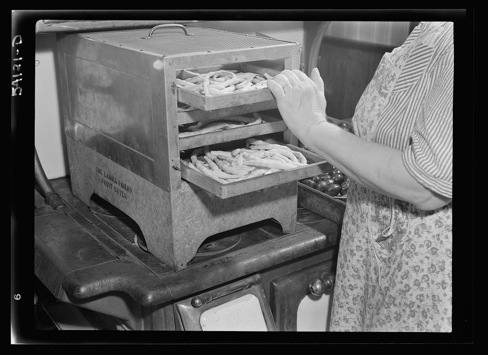 "The Ladies Friend" dryer, full of blanched pencil pod beans, on top of a coal and wood range. Sourced from the Library of…