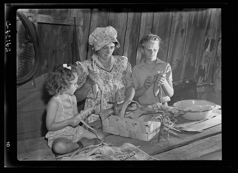 Mrs. Harry Mercer, a young neighbor, and grandchild, husking and removing silk from the corn. The corn will be dried and…