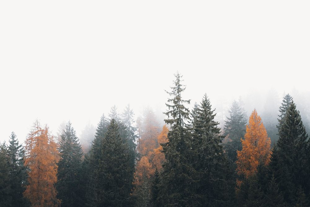 Forest collage element, off white design psd