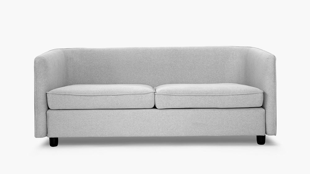 Gray sofa in modern design