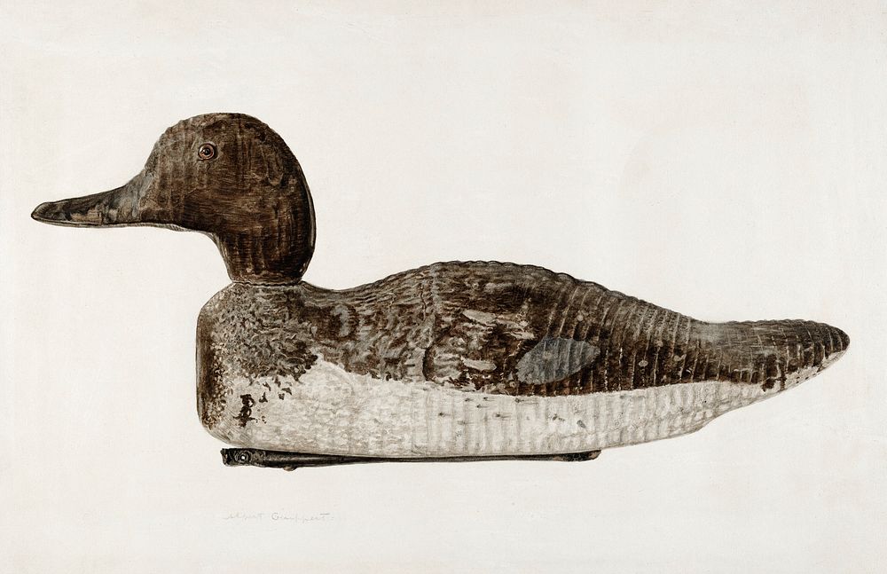 Decoy: Blue Winged Teal (ca.1938) by Albert Ryder. Original from The National Gallery of Art. Digitally enhanced by rawpixel.