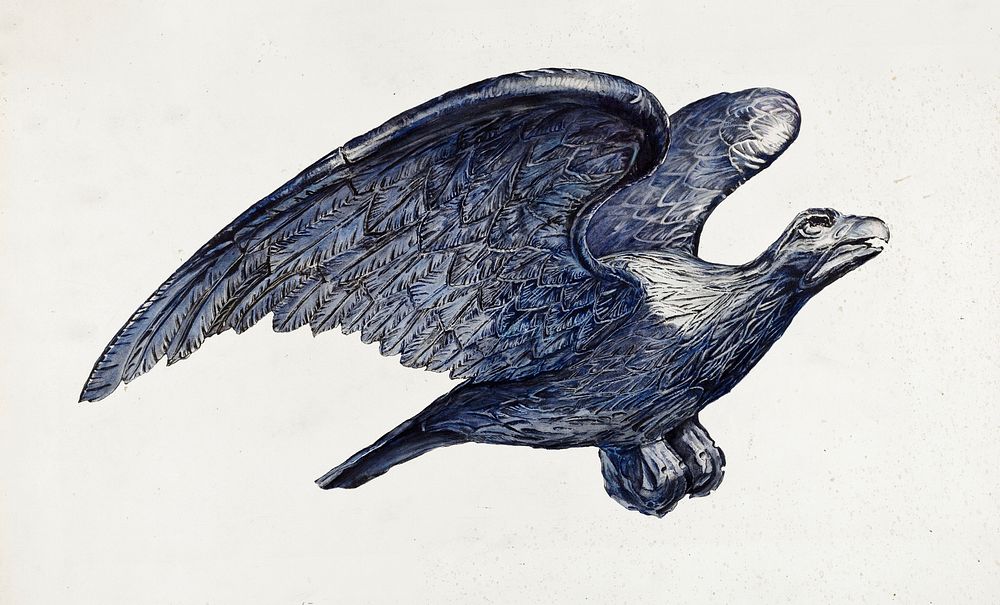 Eagle (1935&ndash;1942) by Elisabeth Fulda. Original from The National Gallery of Art. Digitally enhanced by rawpixel.