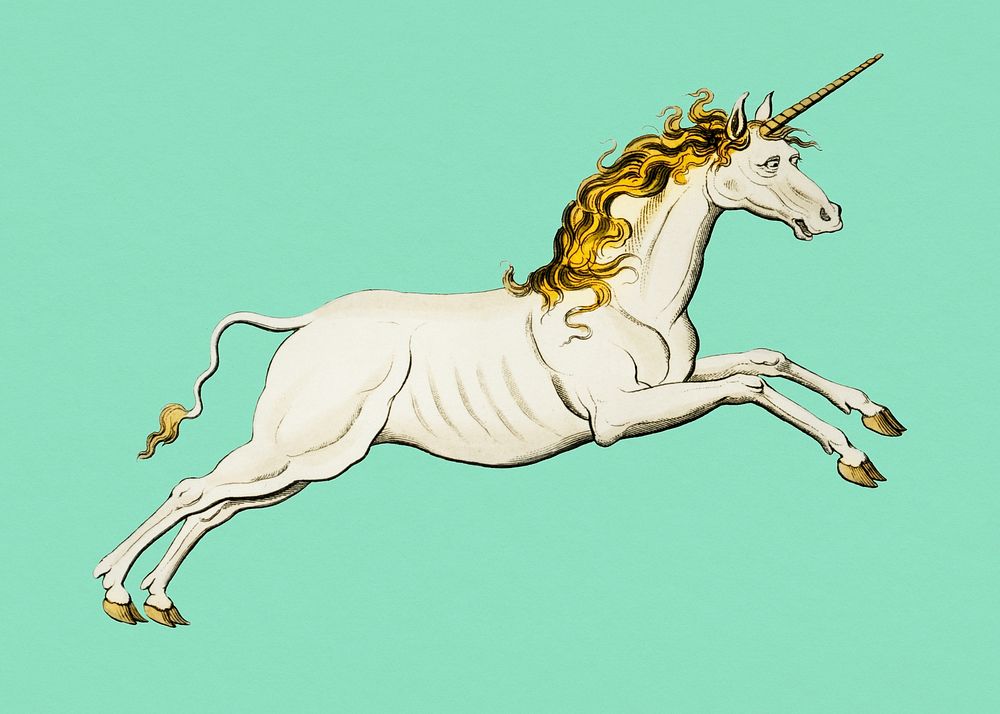 Vintage unicorn, mythical animal illustration, remix from the artwork of Sidney Hall