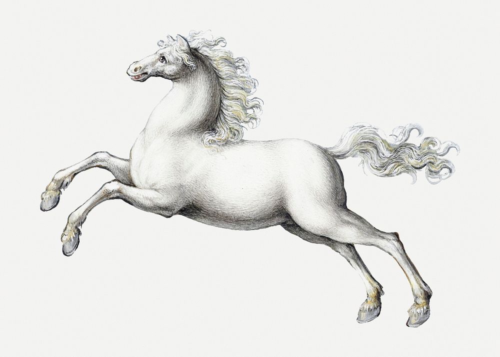 White horse animal painting, remixed from artworks by Joris Hoefnagel