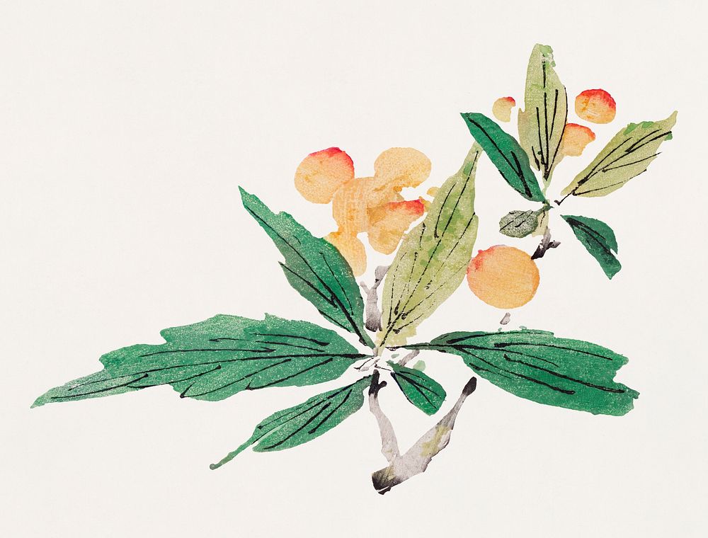 Fruit psd botanical art print, remixed from artworks by Hu Zhengyan