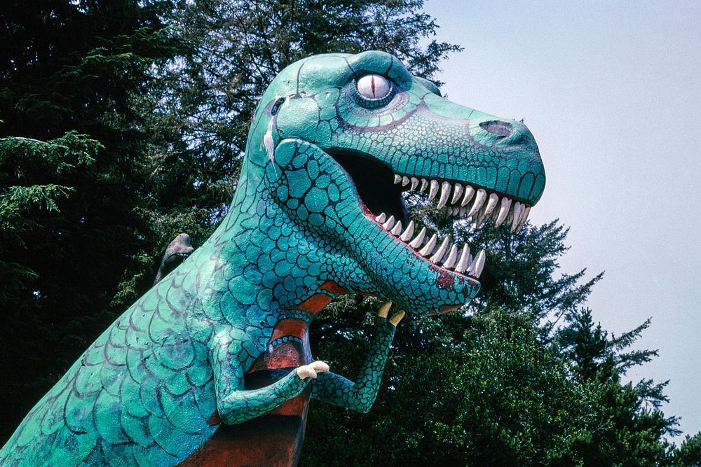 Prehistoric Forest, Port Orford, Oregon (2003) photography in high resolution by John Margolies. Original from the Library…