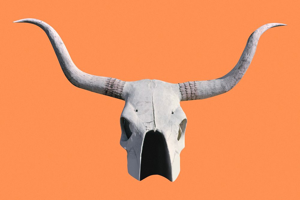 Bull skull psd with horns, remixed from artworks by John Margolies