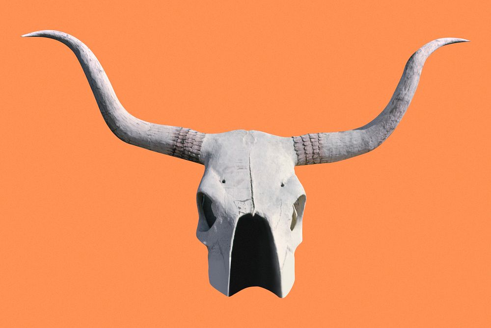 Bull skull with horns, remixed from artworks by John Margolies