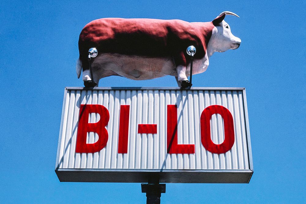 Bi-Lo Super Market sign, Cabarrus Avenue, Concord, North Carolina (1982) photography in high resolution by John Margolies.…