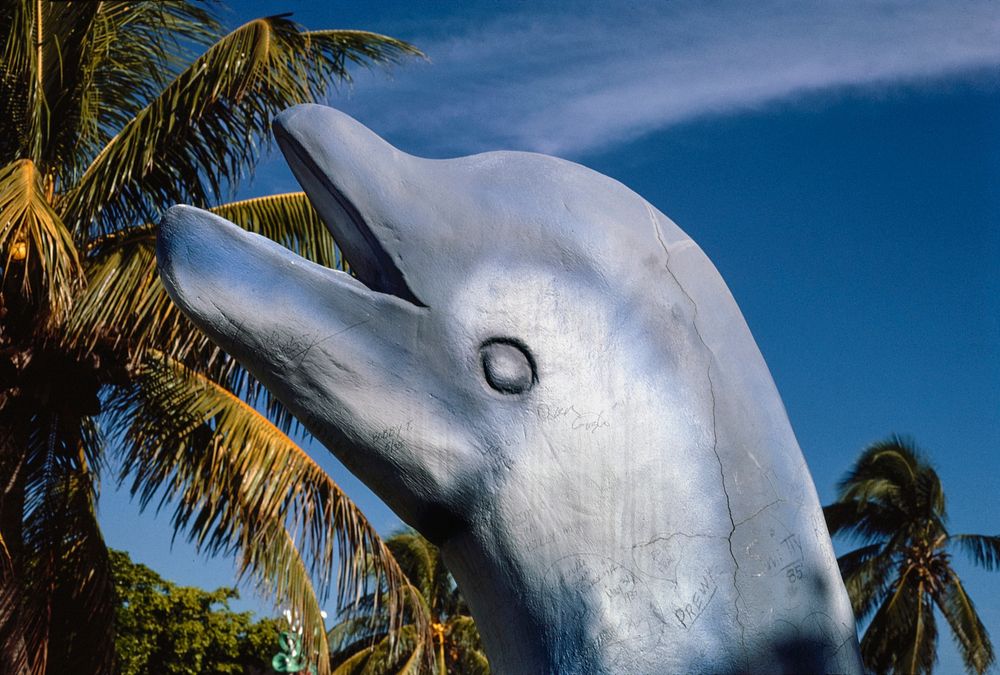 Dolphin statue, Magic Carpet Golf, Key West, Florida (1985) photography in high resolution by John Margolies. Original from…