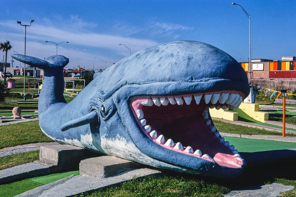 Whale, Stewart Beach mini golf, Galveston, Texas (1986) photography in high resolution by John Margolies. Original from the…