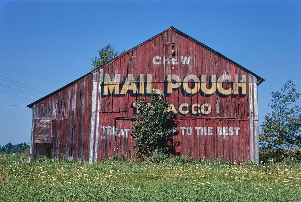 Storefront, Mail Pouch Barn, Route 30, Riceland, Ohio (1988) photography in high resolution by John Margolies. Original from…