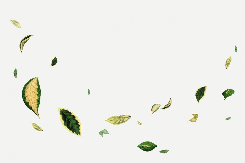 Falling leaves collage element, botanical nature illustration psd