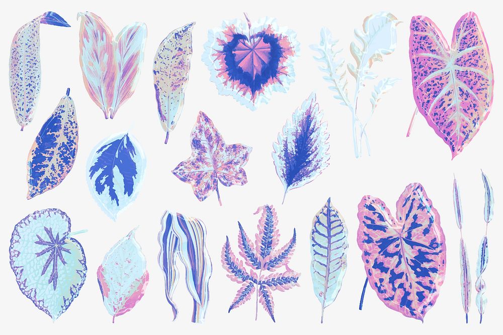 Blue leaf illustration, aesthetic nature graphic set vector