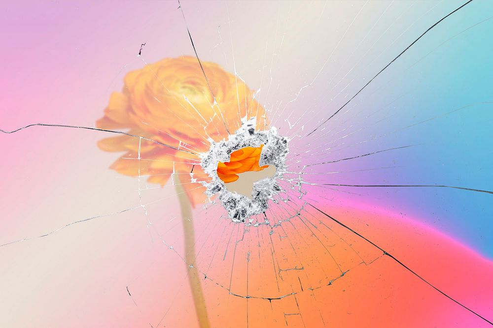 Background of orange ranunculus flower with broken glass effect