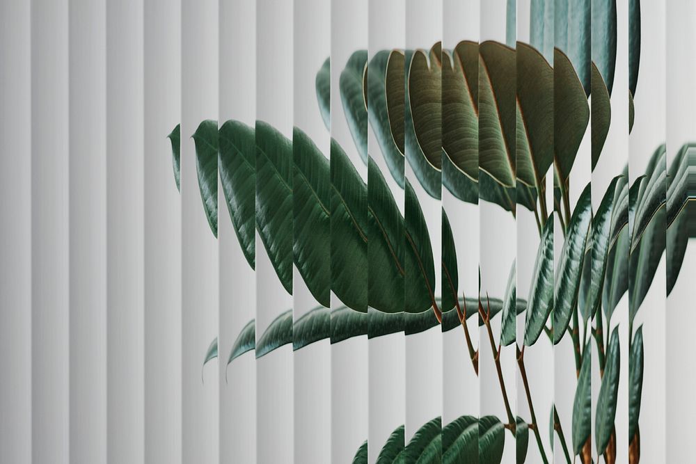 Nature background with leaf behind patterned glass