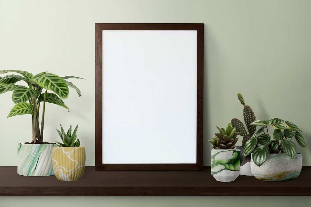 Dark modern picture frame on a shelf with plants 