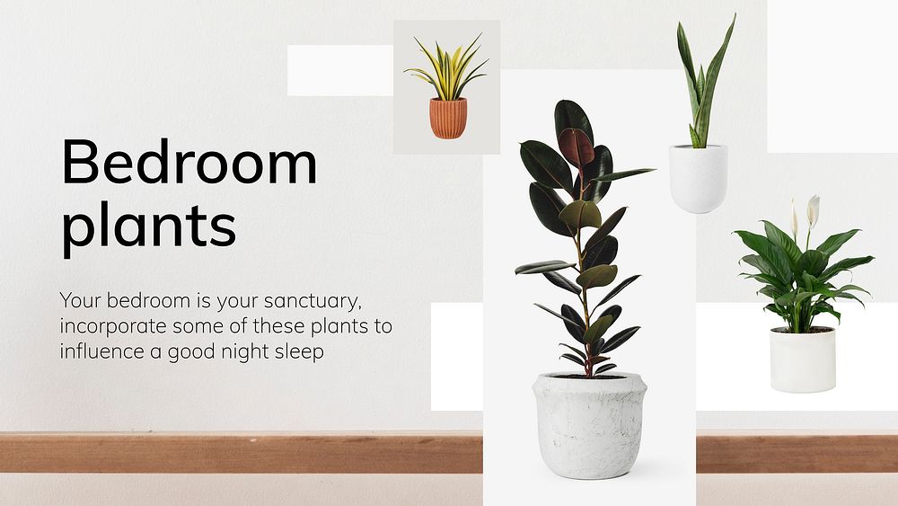 Interior decor template vector bedroom plants