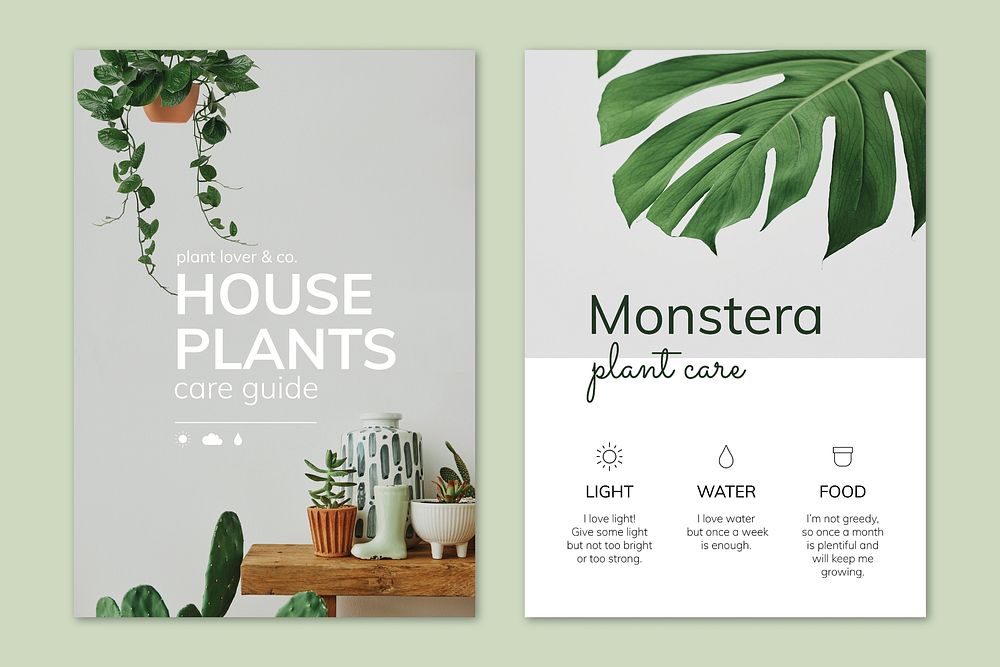 Houseplant poster template vector set for indoor gardening