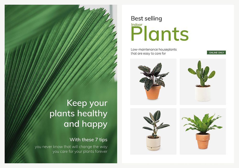 Plant shop template vector with houseplants