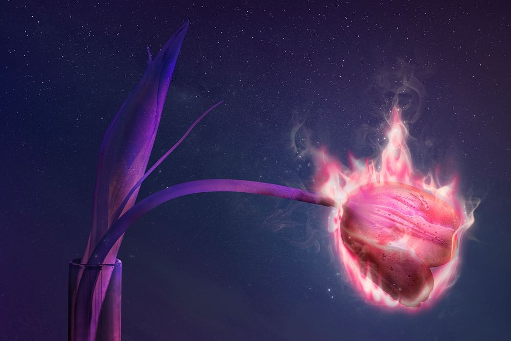 Flaming tulip flower, fire aesthetic, environment remix with fire effect