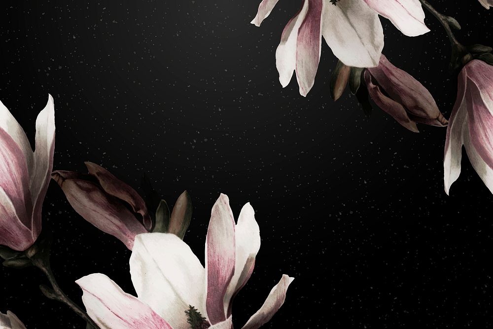 Magnolia border vector dramatic flower background