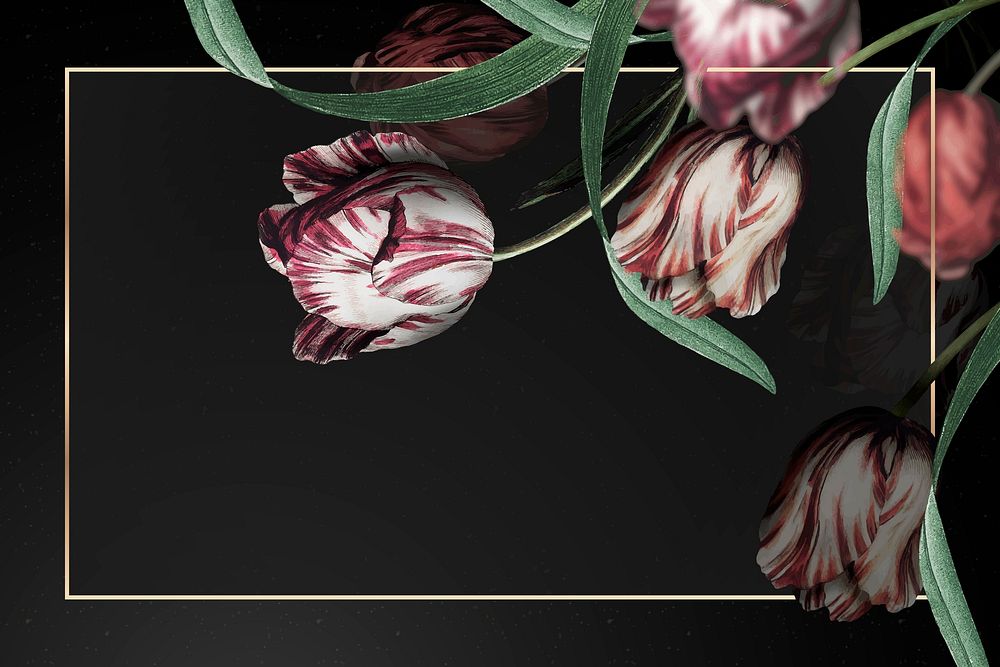 Gold frame vector with tulip border on black background