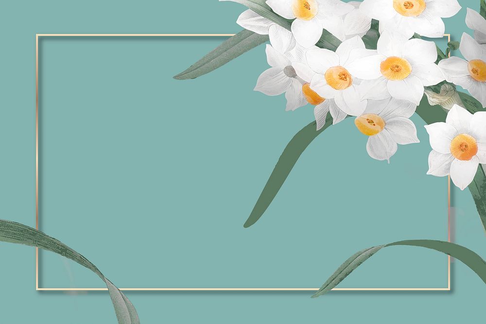Gold frame vector with daffodil border on green background