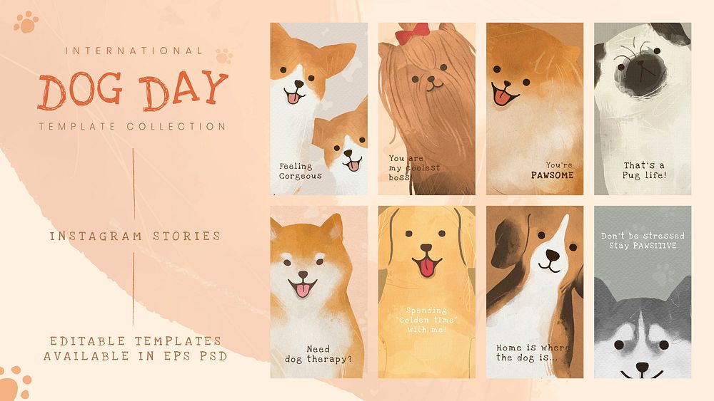 International dog day template vector social media story set
