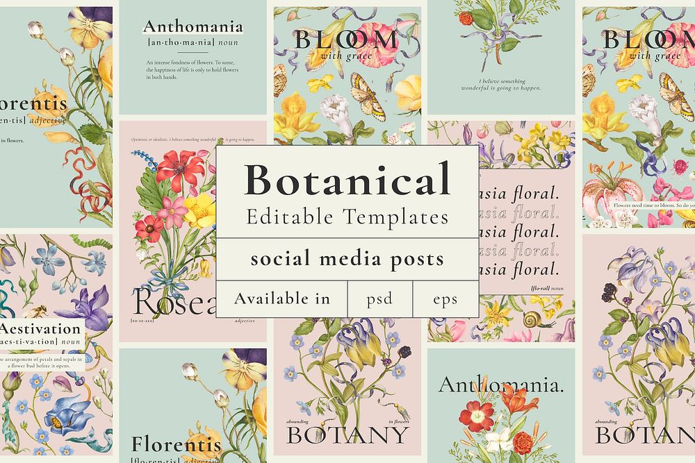 Editable beautiful floral template vector ad poster set